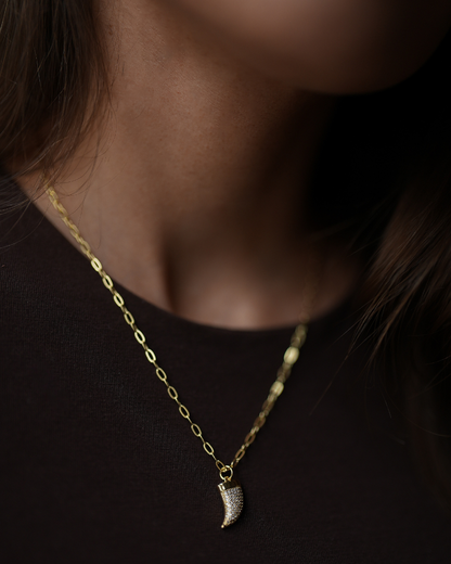 Cadena Cacho shine