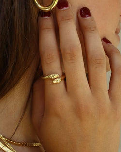 Anillo Serpientes