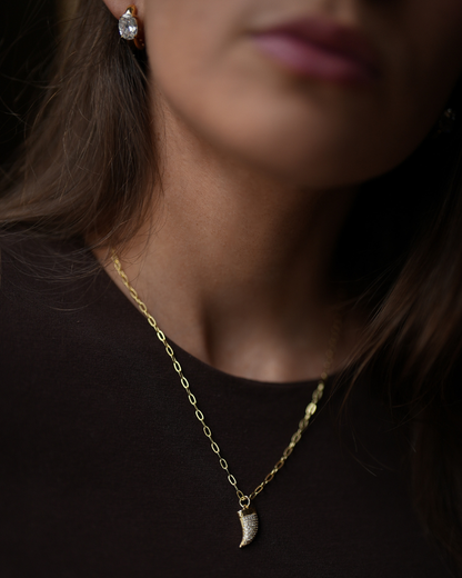 Cadena Cacho shine